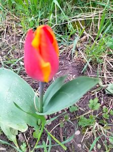 IMG20230407161353