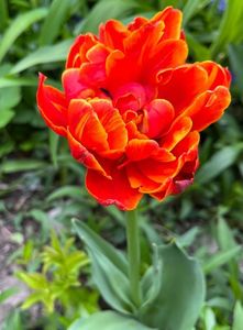 D7094412-D46A-48FA-9C0F-16E8F3BCBB49