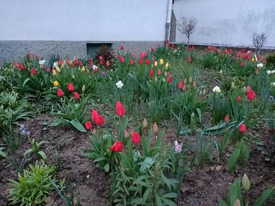 Img.2023.04.11