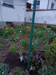 Img.2023.04.11; Președintele s-a lungit... se vede ca are funcție mare :)))
