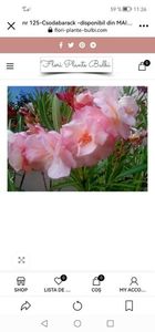 Screenshot_20230417_112656_com.facebook.katana