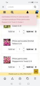 Screenshot_20230403_173028_com.huawei.hwsearch