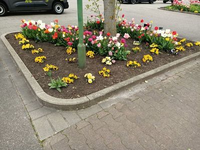 Img.2023.04.21