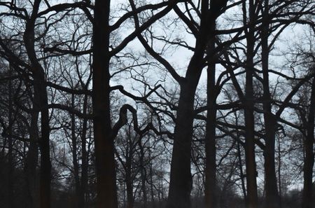 I went outside to take a fresh breath of air, the weather looked ℺utstandingly. That‵s all.