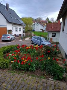 Img.2023.04.22