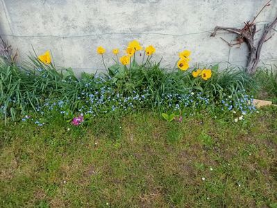 Img.2023.04.22