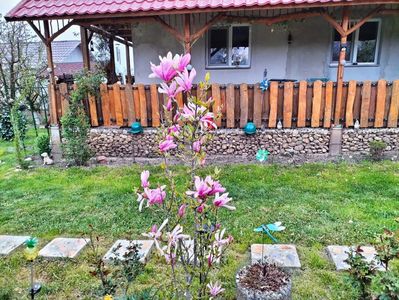 IMG20230424195725