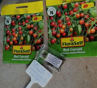 25 04 rosii si patrunjel
