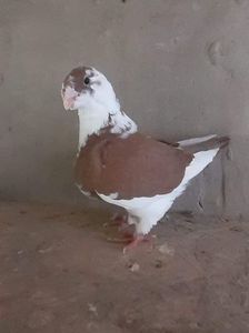 received_1428241947986107