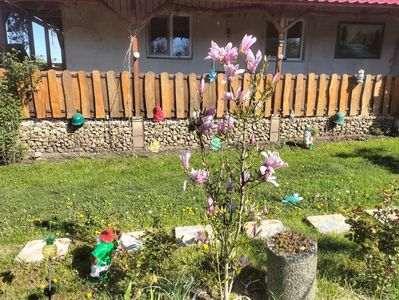 IMG20230428095055