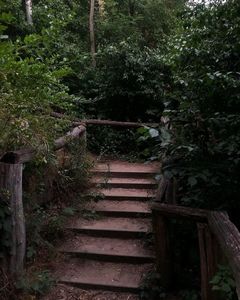 ‘let uṥ go, — let uṥ make haṥte,; ‘and ṥing, — locked armed — a-tiṥket, a-taṥket. . . — a green and yellow baṥket’
