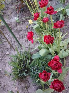 IMG-20230501-WA0346