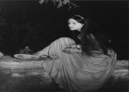 Waiting by the river for the howling wolf — while the nuns where sound asleep.; I stayed in a bush for one hour. One hour! — All they did was argue who is into who.
