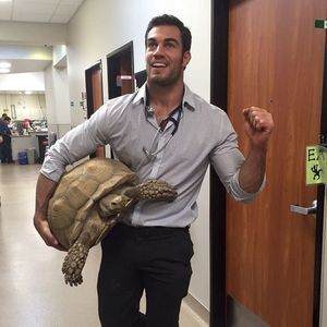 Evan put the goddamn tortoise back