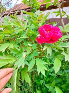 IMG20230503124723
