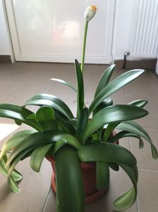 IMG-20221024-WA0002
