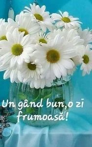 IMG-20221027-WA0005
