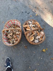 IMG-20221030-WA0013