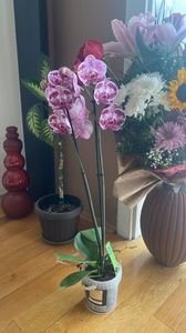 IMG-20221107-WA0008