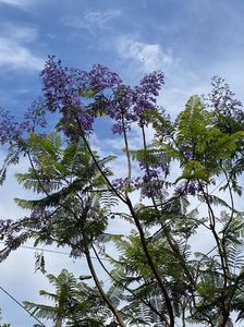 IMG-20221110-WA0002