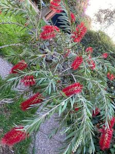 IMG-20221111-WA0020