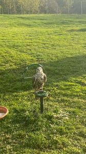 IMG-20221112-WA0015
