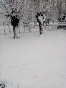 IMG-20221125-WA0002