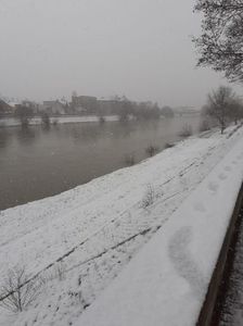 IMG-20221128-WA0000