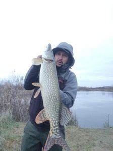 IMG-20221202-WA0016