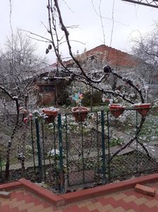 IMG-20221212-WA0002