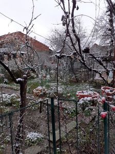 IMG-20221212-WA0003