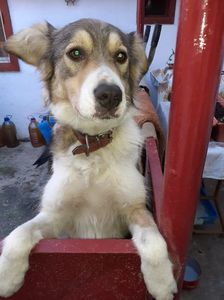 IMG-20221213-WA0000