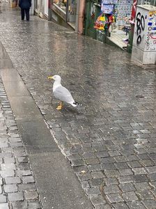 IMG-20221220-WA0003