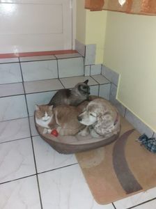 IMG-20221231-WA0000