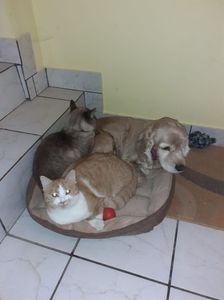 IMG-20221231-WA0001