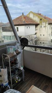 IMG-20221231-WA0004