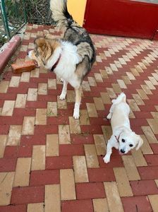 IMG-20230101-WA0008