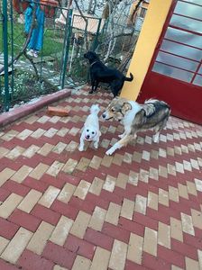 IMG-20230101-WA0010