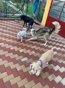 IMG-20230101-WA0011