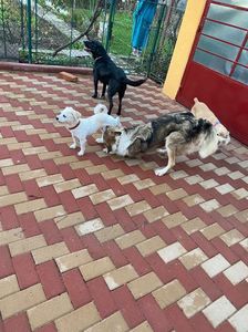 IMG-20230101-WA0012