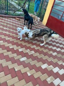 IMG-20230101-WA0013