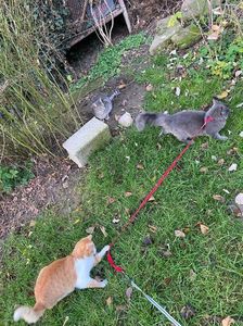 IMG-20230101-WA0025