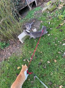 IMG-20230101-WA0026