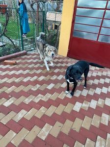 IMG-20230101-WA0027