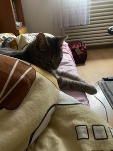 IMG-20230114-WA0004
