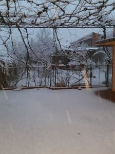 IMG-20230120-WA0008