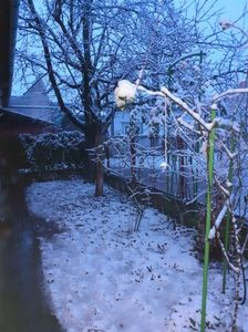 IMG-20230120-WA0009