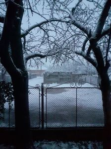 IMG-20230120-WA0011