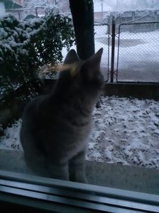 IMG-20230120-WA0012