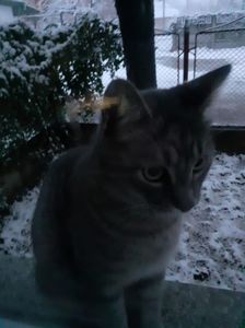 IMG-20230120-WA0013